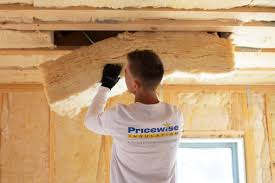 Best Eco-Friendly or Green Insulation Solutions  in Tatum, TX